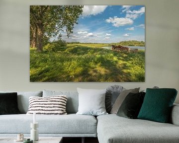 Pferde in der niederländischen Landschaft von Moetwil en van Dijk - Fotografie