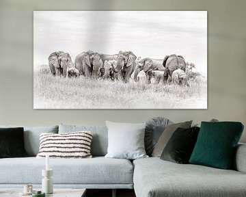 Kudde olifanten van Awesome Wonder