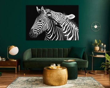 Vechtende zebra's in zwart-wit van Awesome Wonder