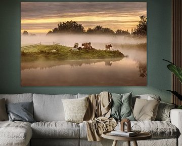 Kühe im Morgennebel