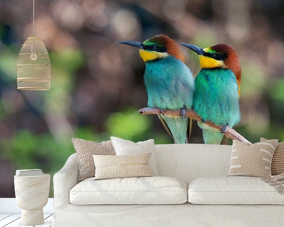 Aperçu de la chambre