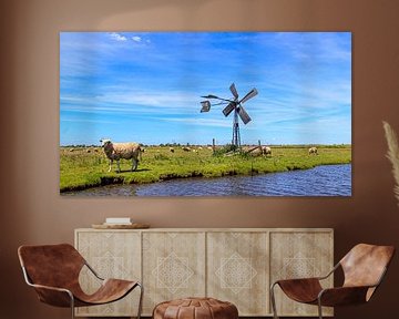 Zonnig polderlandschap met blauwe lucht, schapen en klassieke windmolen.