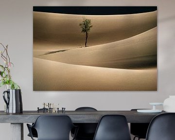 Eenzame boom in Sahara woestijn van Frans Lemmens
