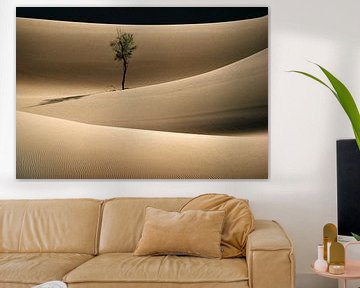 Eenzame boom in Sahara woestijn van Frans Lemmens