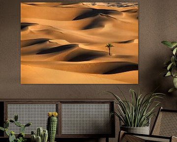 Eenzame palmboom in zandduinen. Sahara woestijn. van Frans Lemmens