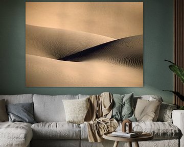 Sensual sand dune. Sahara desert.