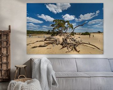 Zomer in Nationaal Park De Hoge Veluwe van Laurens Kleine