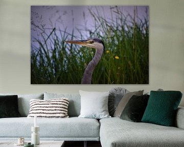 Heron head