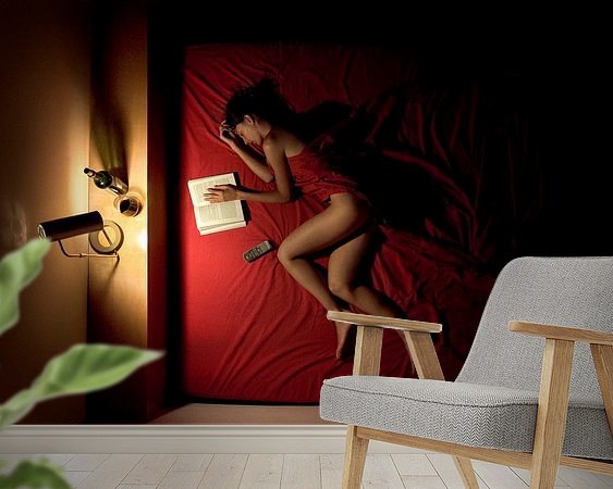 Aperçu de la chambre