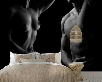 Harmony 04 by Bartek Gasiorek