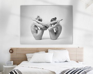 equlibrium van Arkadiusz Branicki