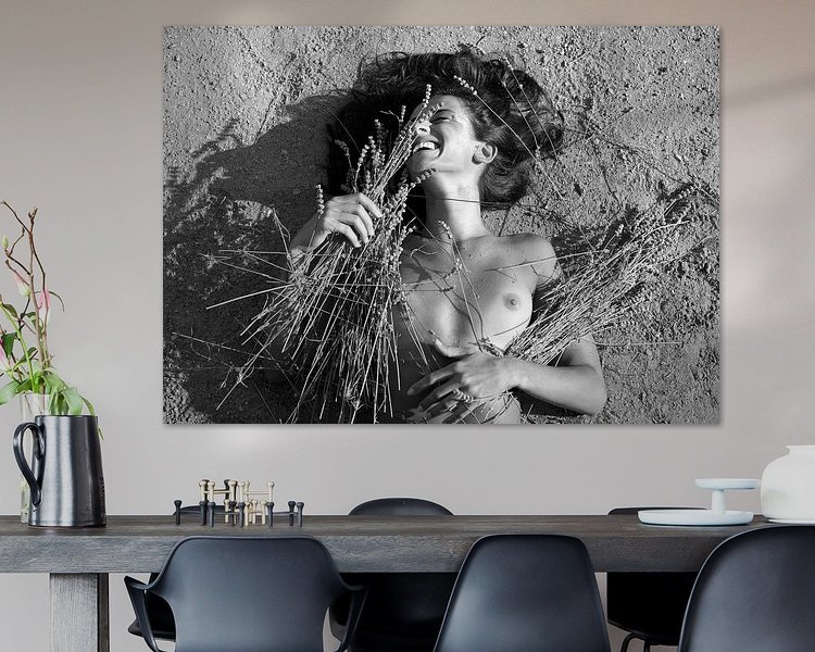 Voorbeeld van het werk in een kamer