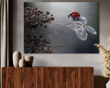 Lieveheersbeestje bij hortensia., Ellen van Deelen van 1x