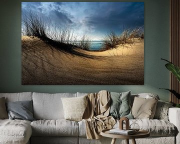 Dunes..........., Wim Schuurmans by 1x