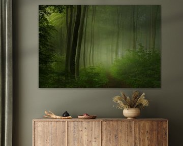 forest morning, Norbert Maier by 1x