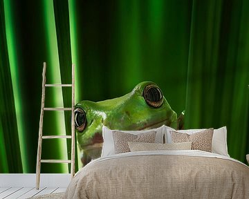 Green Frog, Ahmad Gafuri by 1x