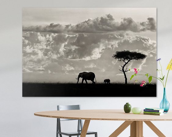 Aperçu de la chambre