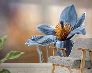 Pasque by Mandy Disher