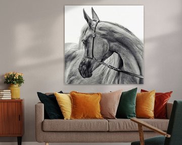 das arabische Pferd, Piet Flour von 1x