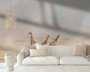 Weathering the Amboseli Dust Devils by Jeffrey C. Sink