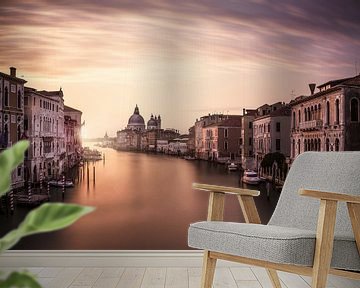 Venice, Dan Muntean by 1x