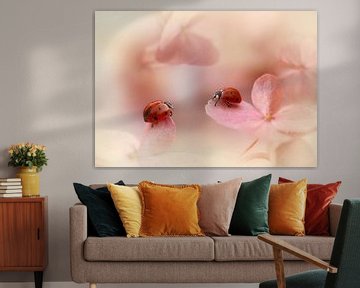 Lieveheersbeestjes op roze hortensia., Ellen van Deelen van 1x