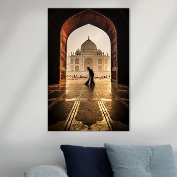 taj mahal cleaner by Pavol Stranak