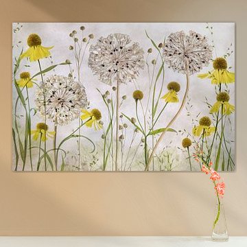 Alliums et heléniums sur Mandy Disher