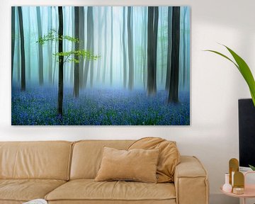 the blue forest ........, Piet Haaksma by 1x