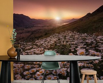 Näher an der Sonne von Sergio AbeVilla