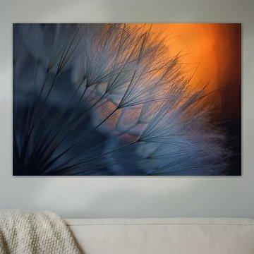 ///<*... by Dimitar Lazarov - Dim