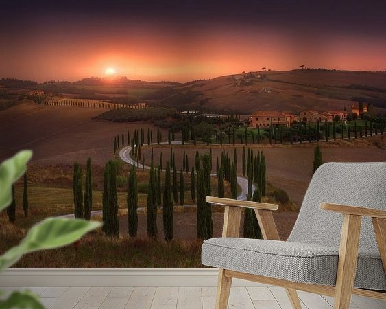 Aperçu de la chambre