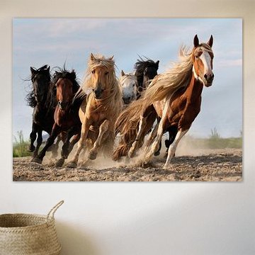 Die Glücklichen Sechs von Adam Wong