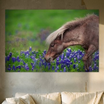 De lente zit in de lucht... van Michael Zheng