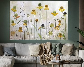Helenium, Mandy Disher (gezien bij vtwonen) van 1x