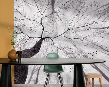 Ein Blick in die Baumkrone von Tom Pavlasek