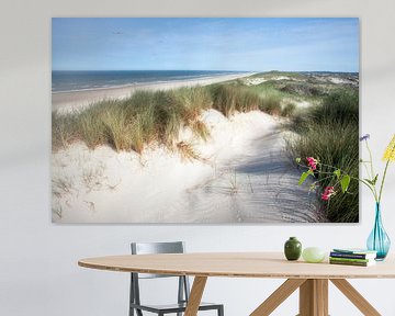 The sea dune in Egmond aan Zee