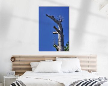 dead tree