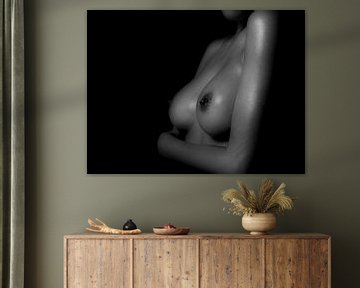 Torso / Brüste einer Frau in Low-Key von Art By Dominic
