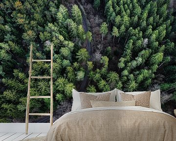 Nature by Hussein Moussaoui