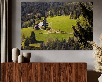 Bauernhaus im Hochschwarzwald von Werner Dieterich