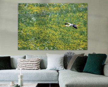 Stork flies above buttercups