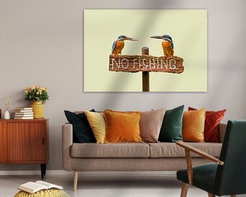 Eisvögel mit Fisch auf dem "No fishing"-Zeichen