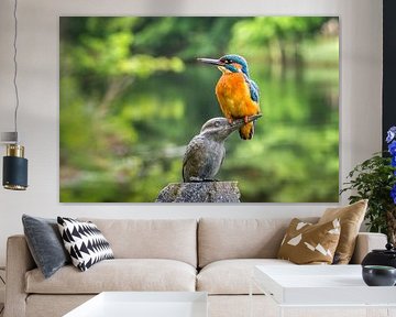 Kingfisher on kingfisher statue by Frans Lemmens