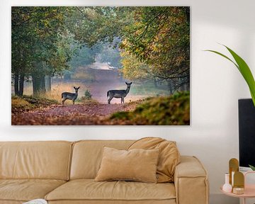 Fallow deer in beech lane by Frans Lemmens