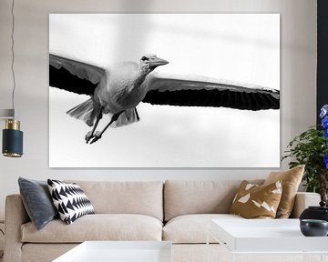 Storch im Flug schwarz-weiß von Rando Kromkamp