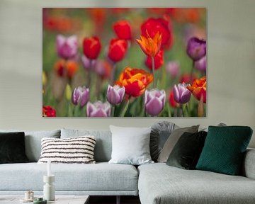 Tulpen in de bollenvelden in Holland van Ivonne Wierink