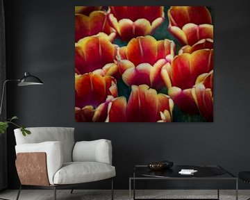 Tulips by WTCHCRFT Images