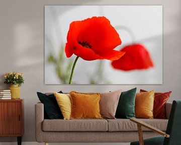 Poppies still life by Marjo Snellenburg