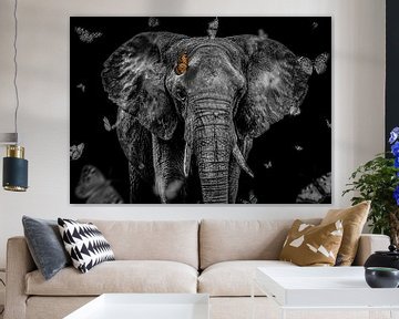 Eléphant d'Afrique sur Daliyah BenHaim